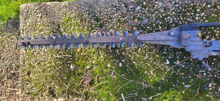 Stihl hedgetrimmer long arm 