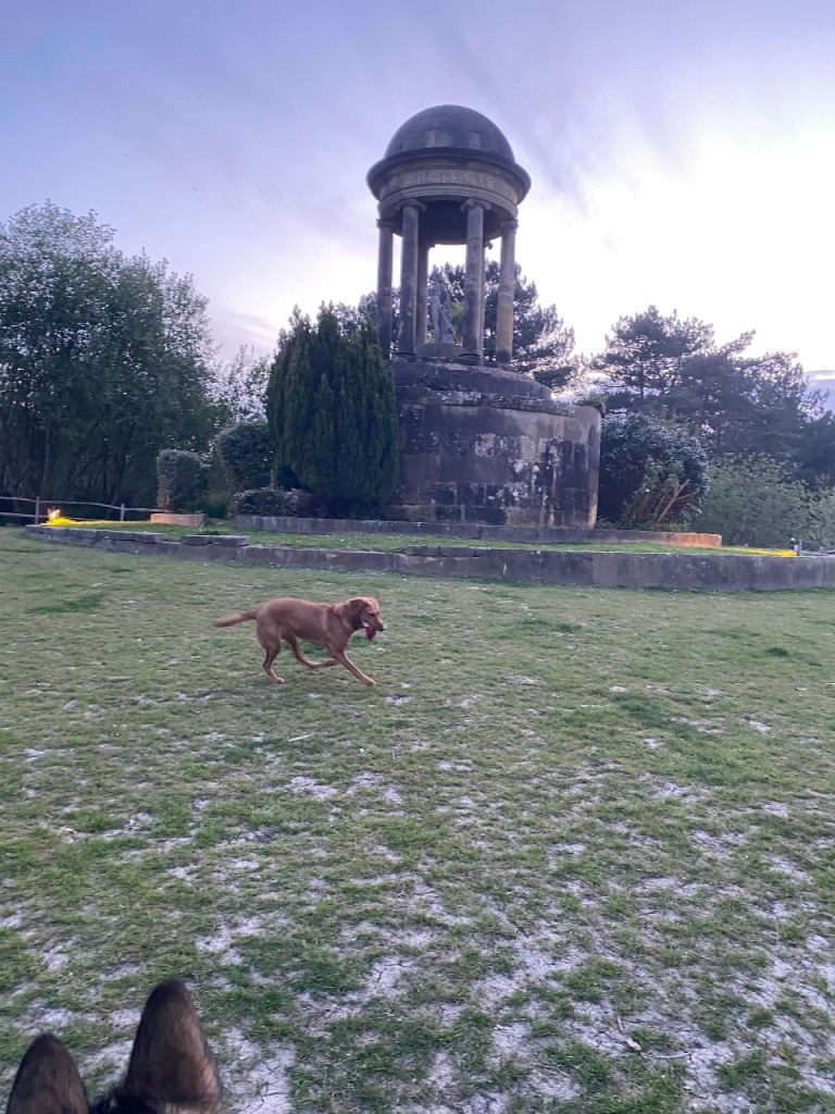 🔥 2 Bed LUXURY LODGE – HASTINGS 🔥