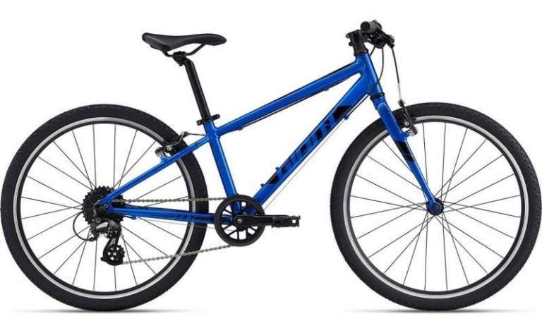 Giant ARX 24" Kids' Bike – 8-Speed, Blue (Age 9–11), Excellent Condition