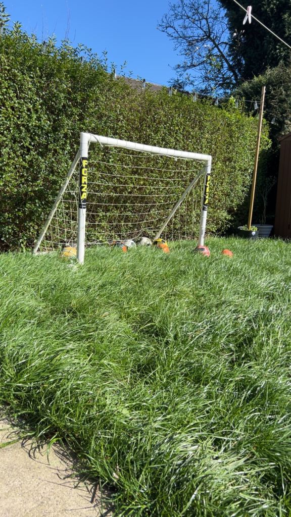 Forza football net - 4ft high x 6ft long 