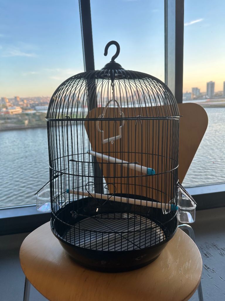 New Round Birdcage