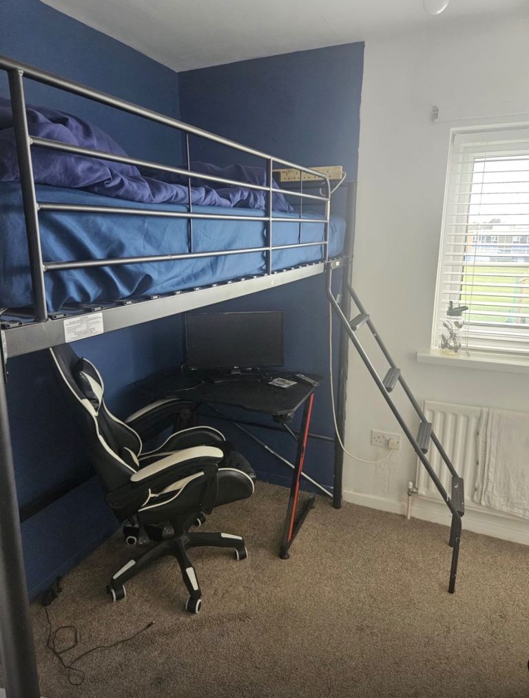 Loft bunk bed (single) with new mattress