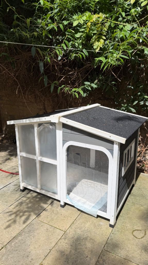 Outdoor Dog House