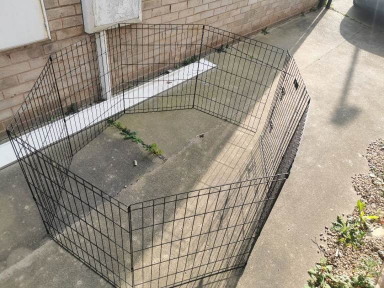 Midwest 552-30dr pet run