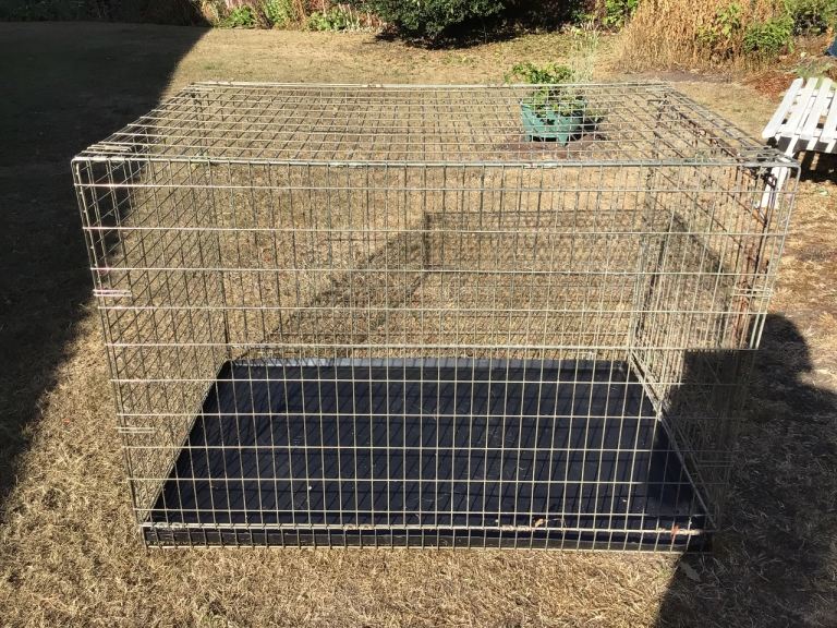 Large dog crate