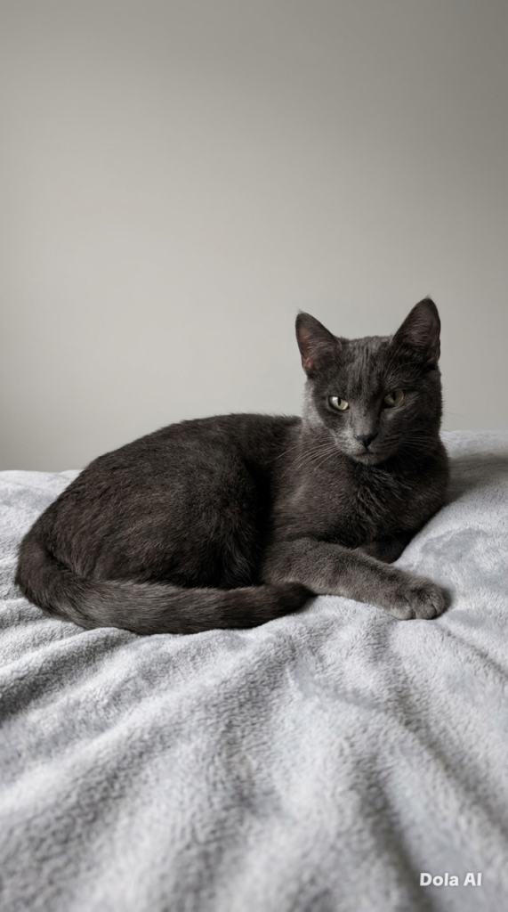 Female dark gray stripe short hair