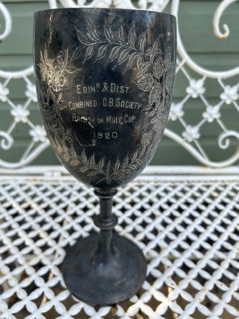 Cage bird society cup 1920