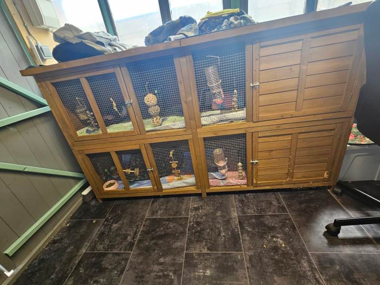 Guinea pig hutch