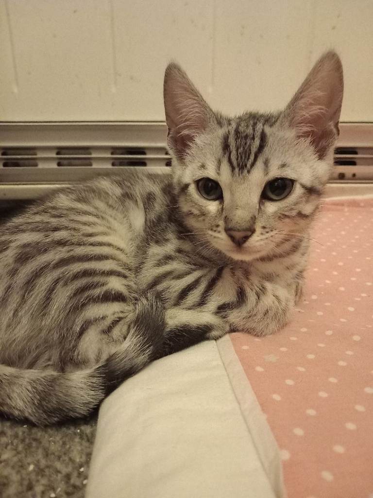 Only One Female Left