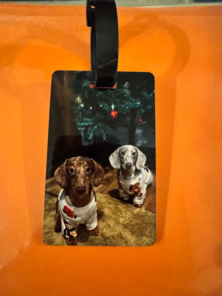 image for Personalised Luggage Tags