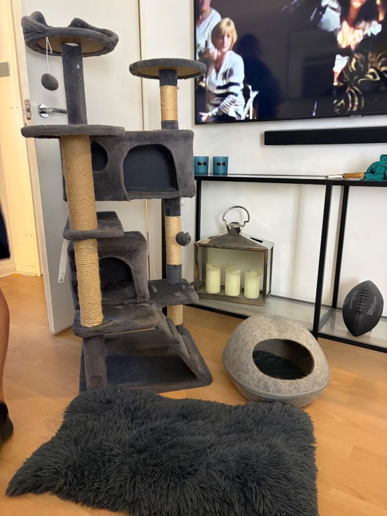 Cat tree, bed and blanket bundle 