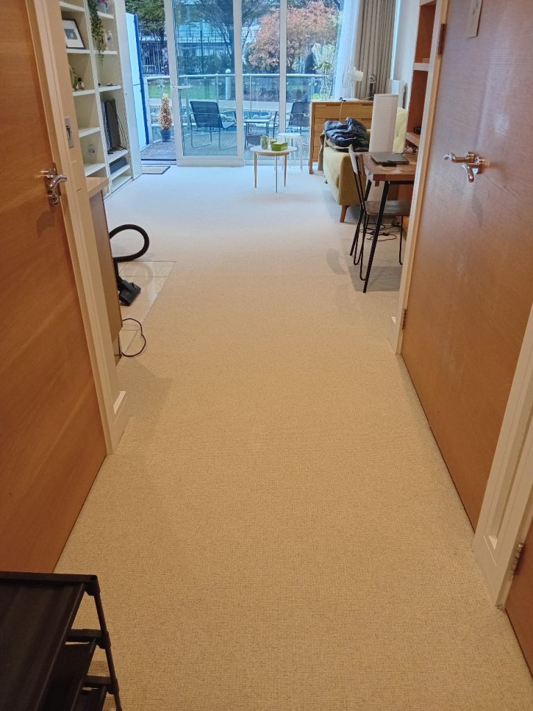 Luxury Carpet Flooring | Soft, Durable & Stylish Options for Every Home
