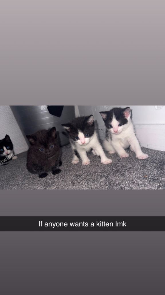 Need to be gone asap 