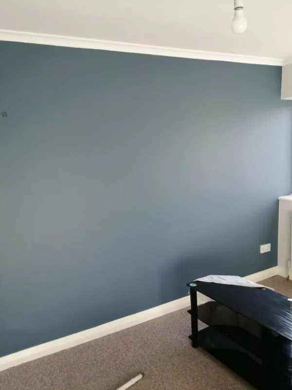 Professional Painter & Decorator – Private & Independent