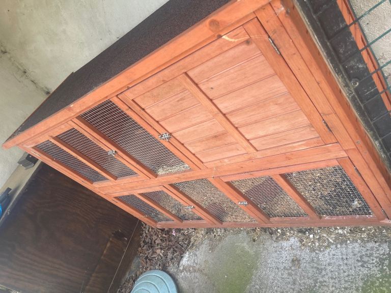 Rabbit cage 