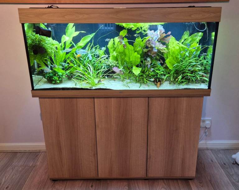 Juwel Rio 240 Fish Tank / Aquarium 