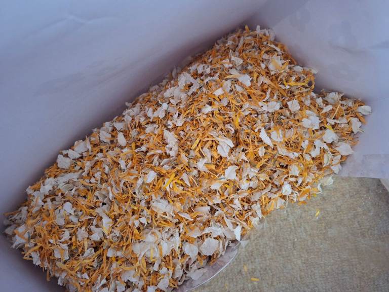 Shropshire Petals Biodegradable Confetti. | in Caldicot, Monmouthshire ...