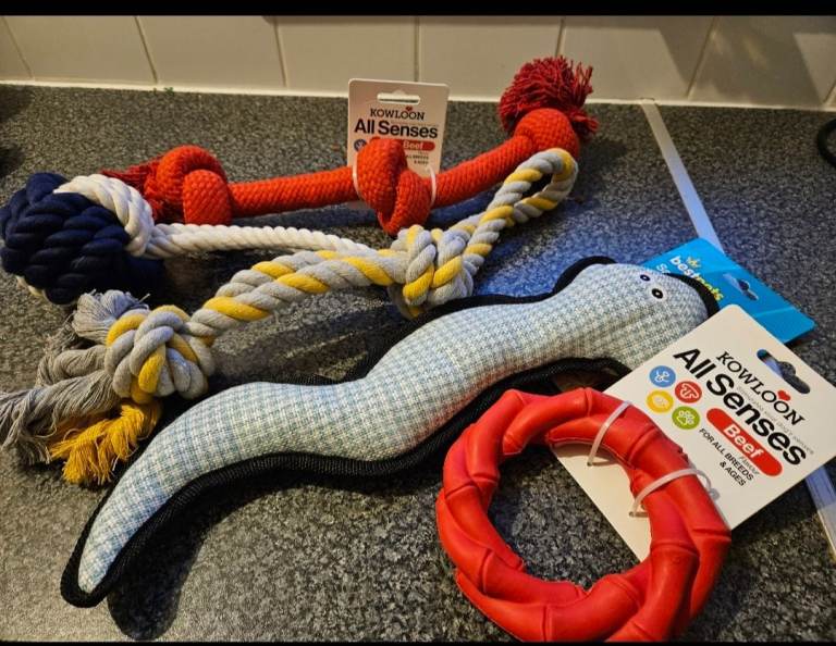 5 large dog toys  