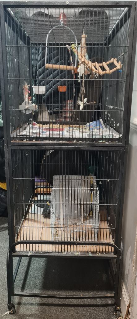 Large wrought iron bird cage - can be split into sections 