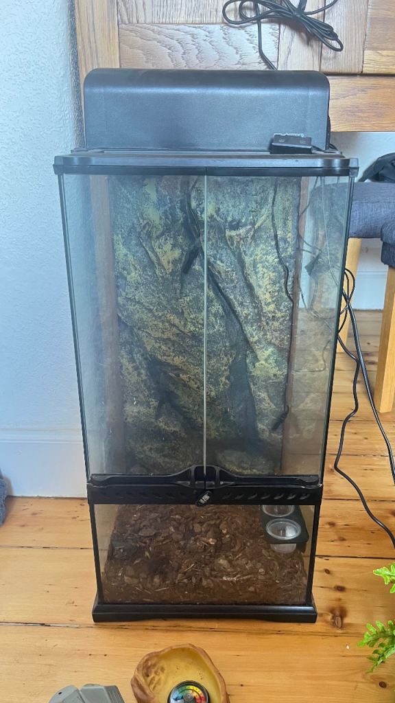 30x30x60 vivarium 