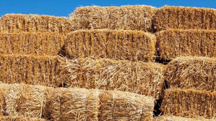 Discounted Large and Small Straw Bales - Excellent Condition