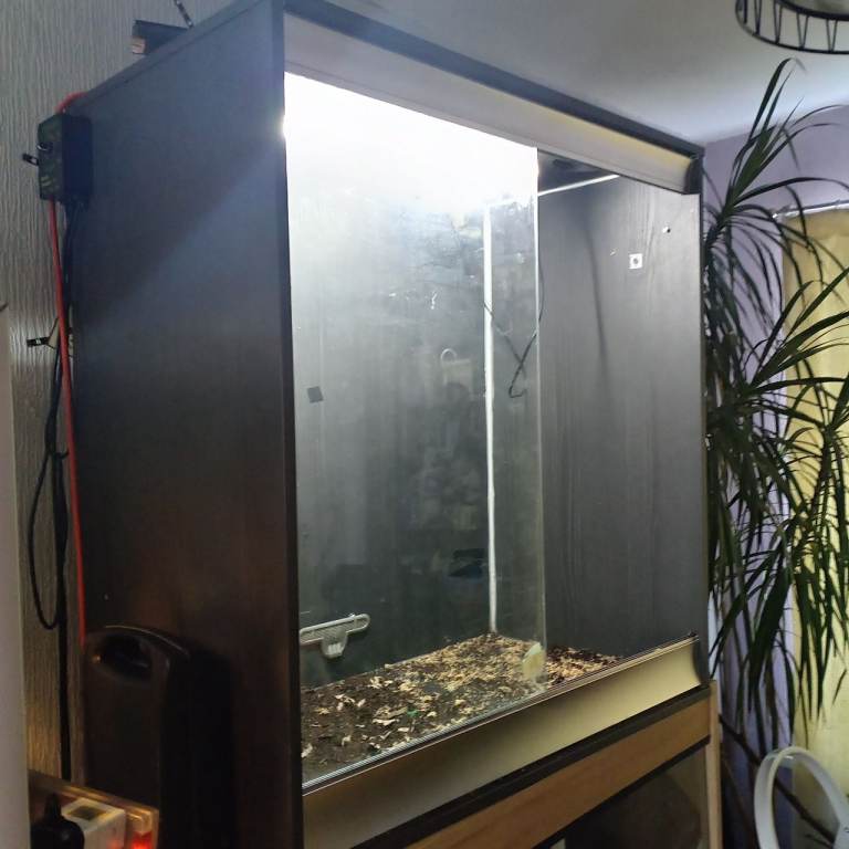 Vivarium for sale 