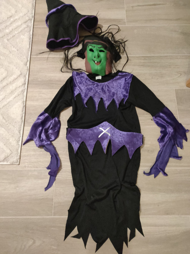 Fancy dress/Halloween/ World Book Day outfit