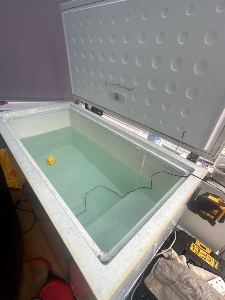 White Chest Freezer – converted to cold plunge 