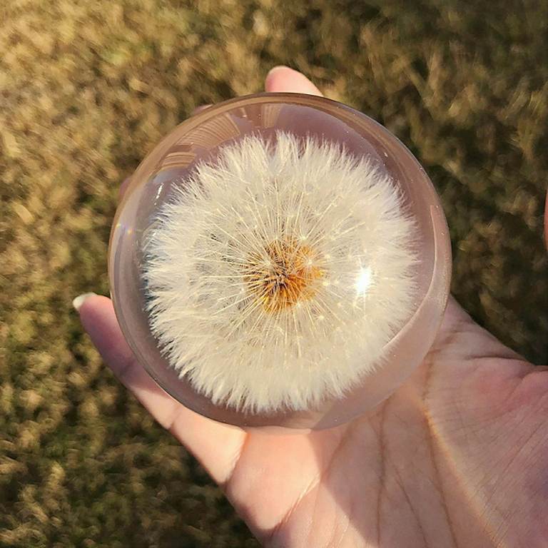 Preserved Dandelion Puff Flower Resin Cube, Decorative Desk Paperweight for Home