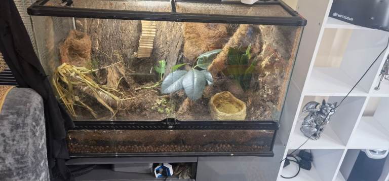 Exo Terra Terrarium/Vivarium with Background – Ready for Reptiles