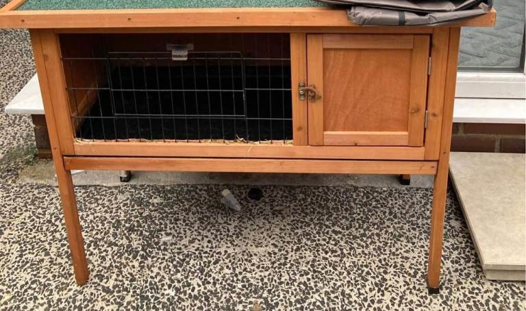 Guinea pigs x2 pair plus cage