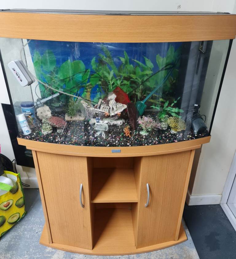 image for Fish tank complete deliver available £175