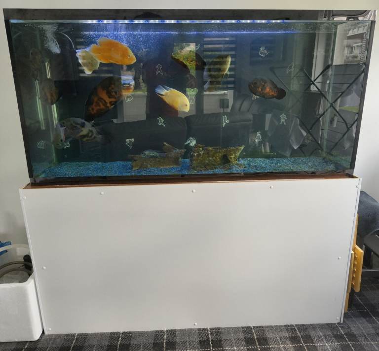 Large Fish Tank with Stand – 470 Litres, Good Condition