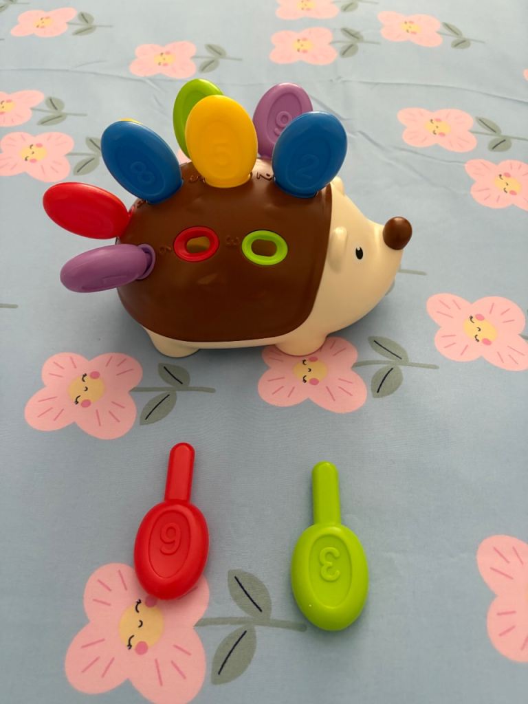 Colourful Hedgehog Spike Toy for Babies