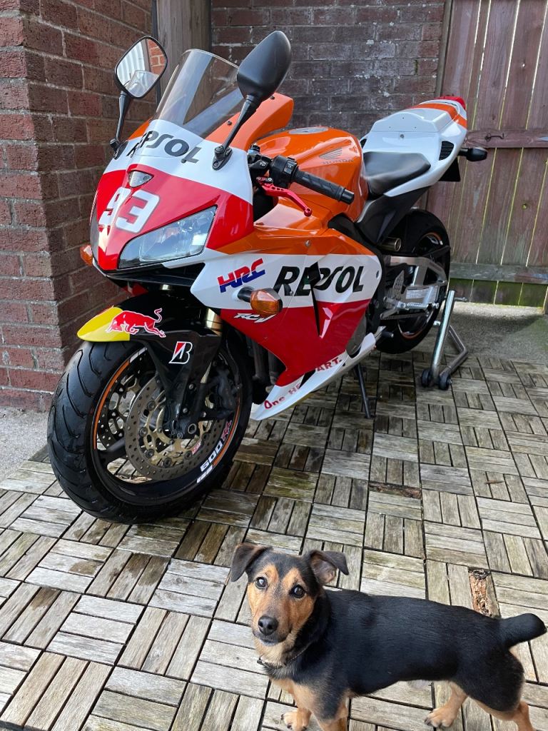 Honda, CBR, 2005, 599 (cc)