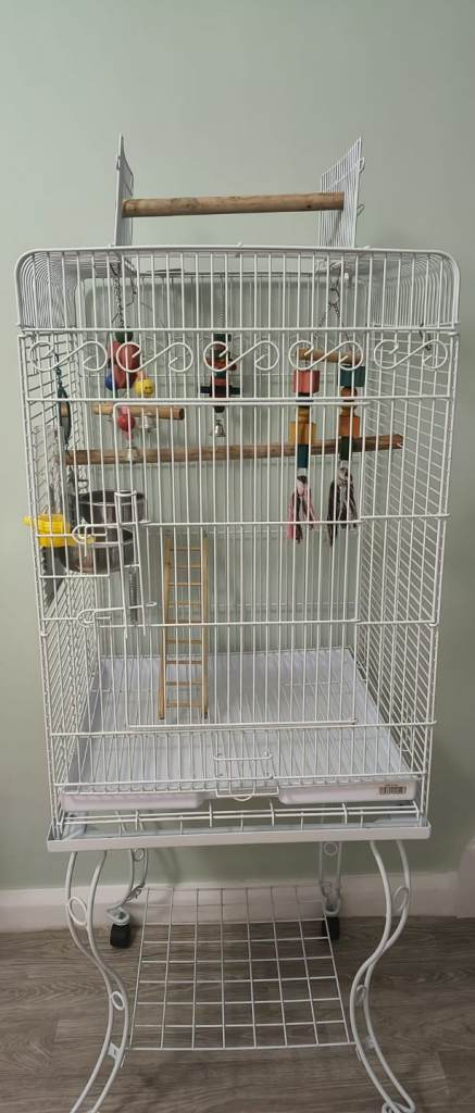 Bird cage 