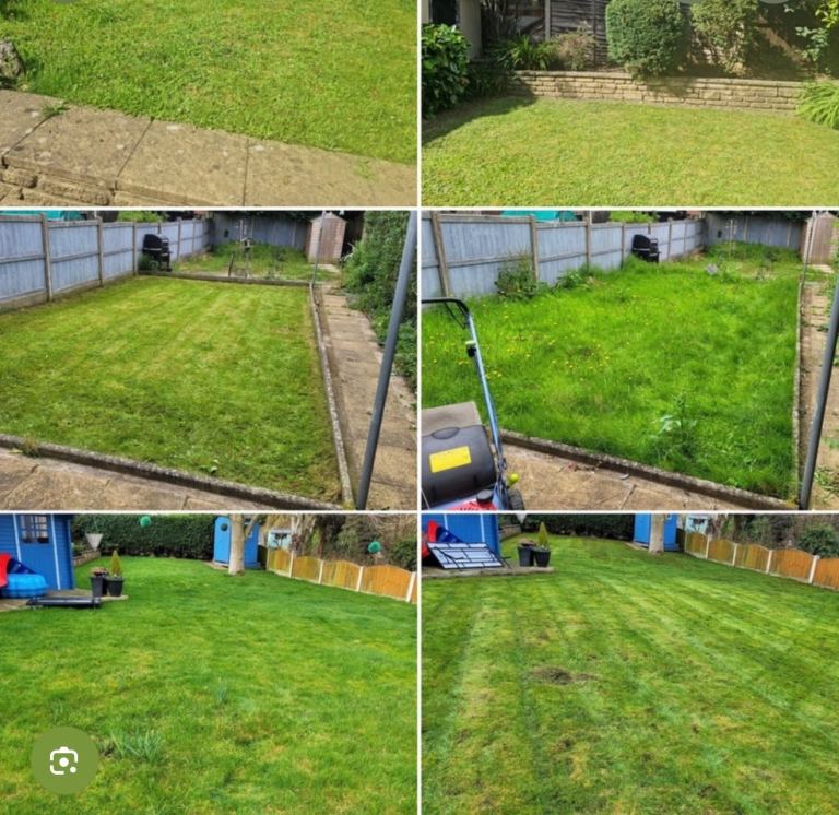 Cutting grass and remove