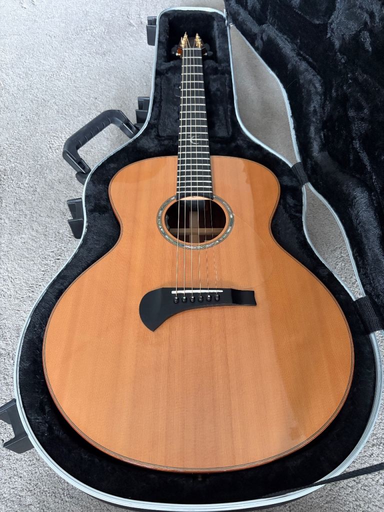 Tanglewood TSR-2 Master Design Acoustic Guitar - LR Baggs HiFi!