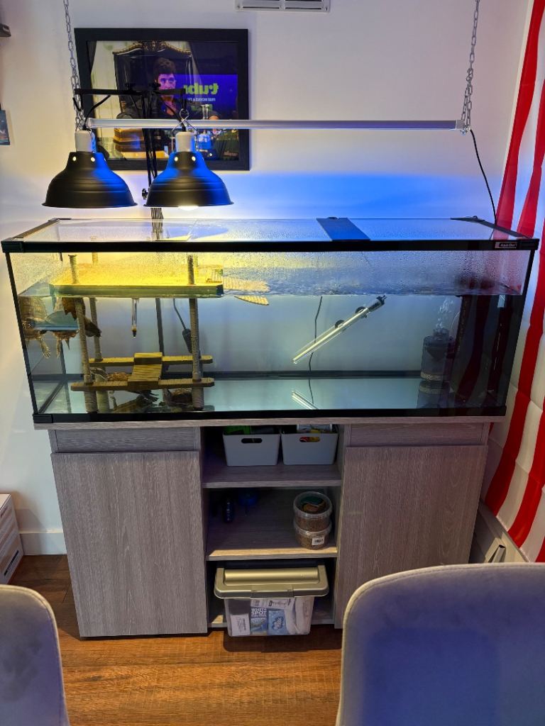 Turtle tank, equipment and accessories.