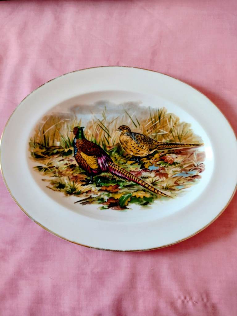 Brand New! Large Decorative Meat Carver Platter/Dish/Tray. See photos/details!
