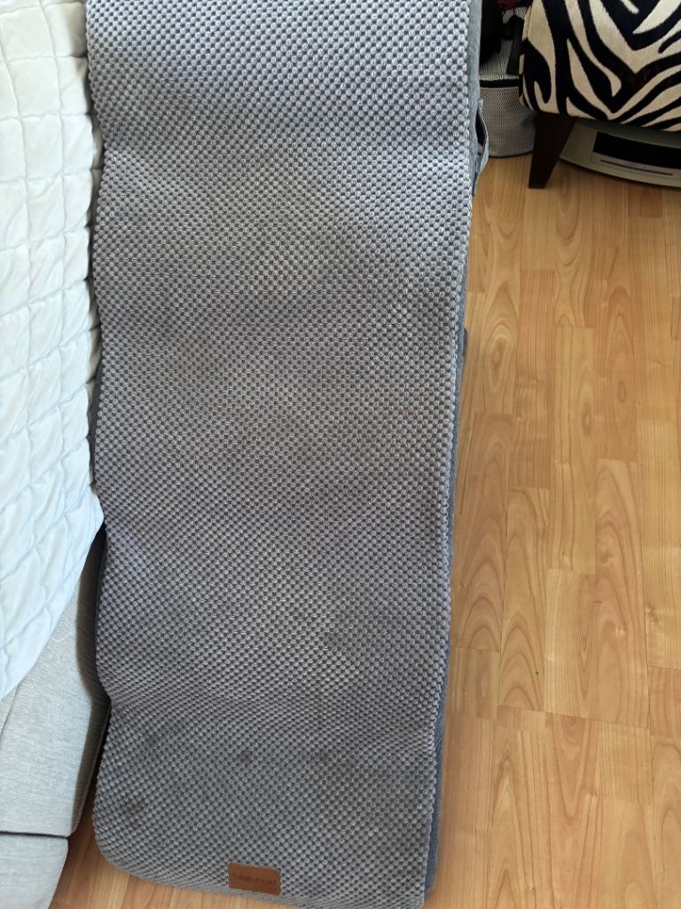 Large Dog Steps
