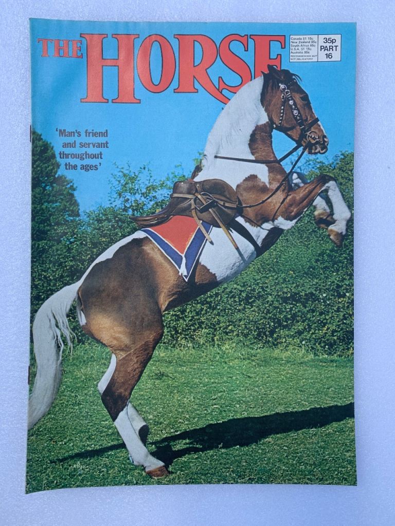 Horse magazine 