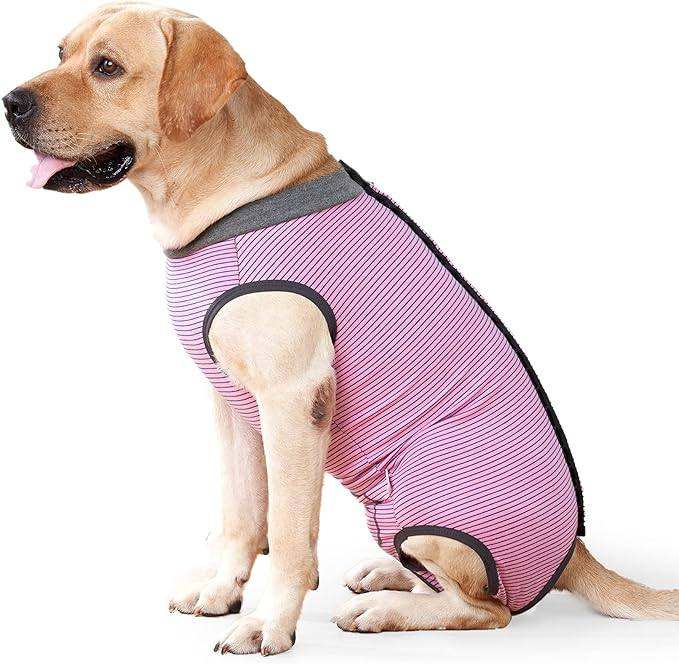 Dog suit for after surgery / Spay suit / recovery suit