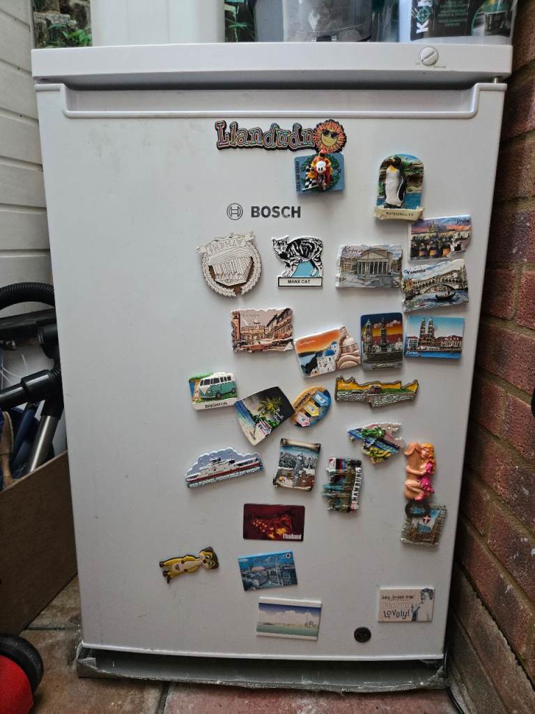 White Bosch upright freezer