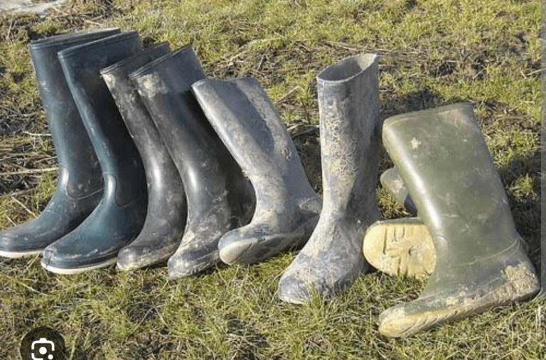 Old wellies 