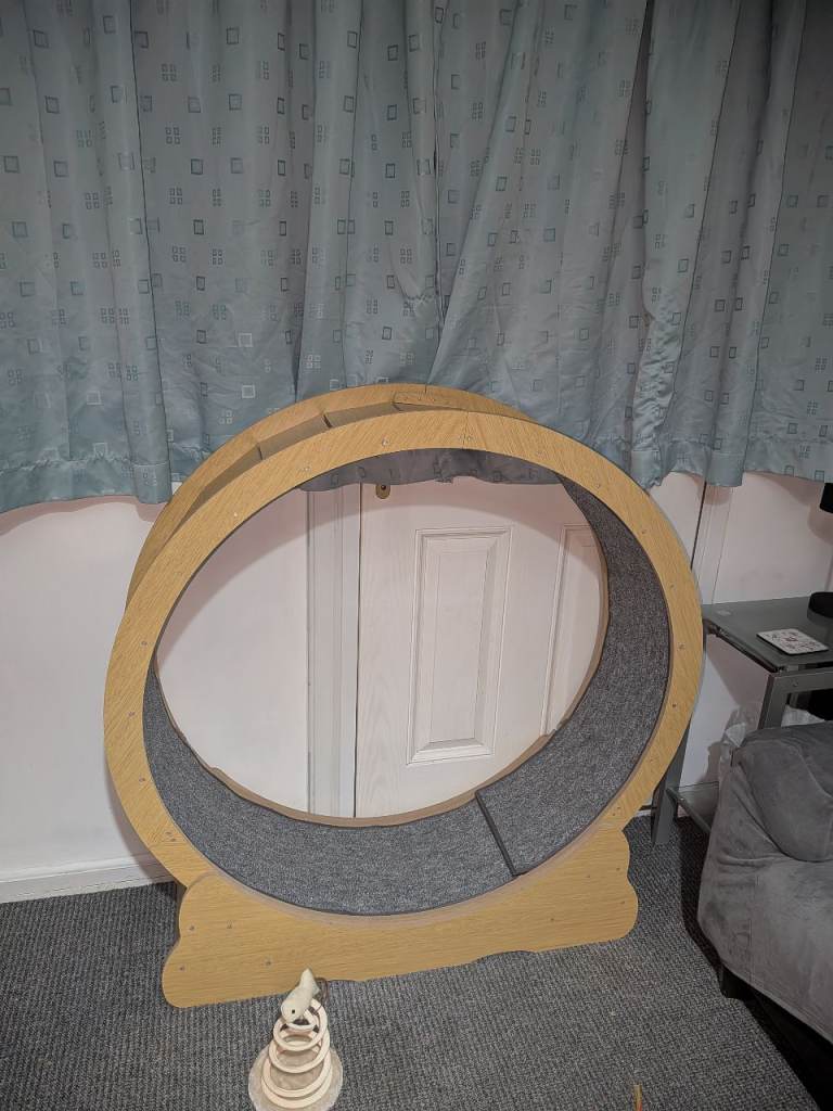 FREE: Cat Exercise Wheel (Collection Only) 