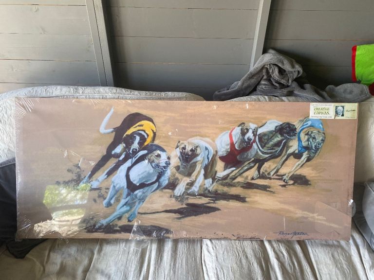 Greyhound print