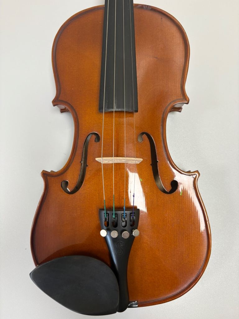 Beautiful 3/4 Stentor Violin, New Shoulder Rest, Complete Outfit