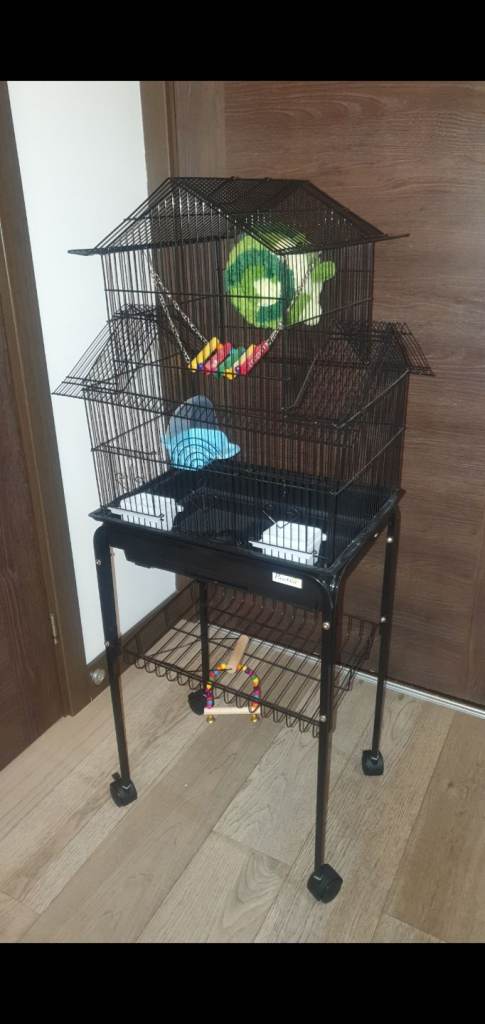 Bird Cage £60