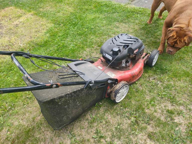 Petrol mower